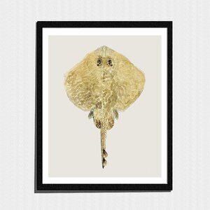 Art Print, Minimalist Stingray Watercolor Painting